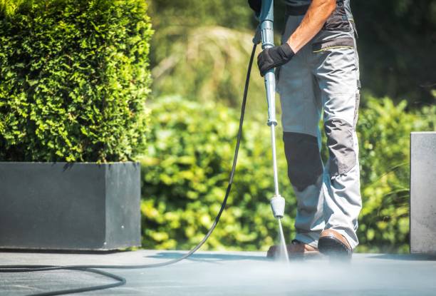 Best Driveway Pressure Washing  in Andusia, AL