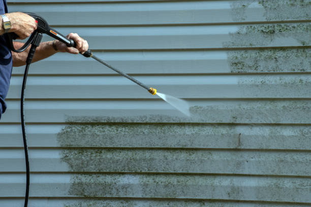 Best Sidewalk and Walkway Cleaning  in Andusia, AL